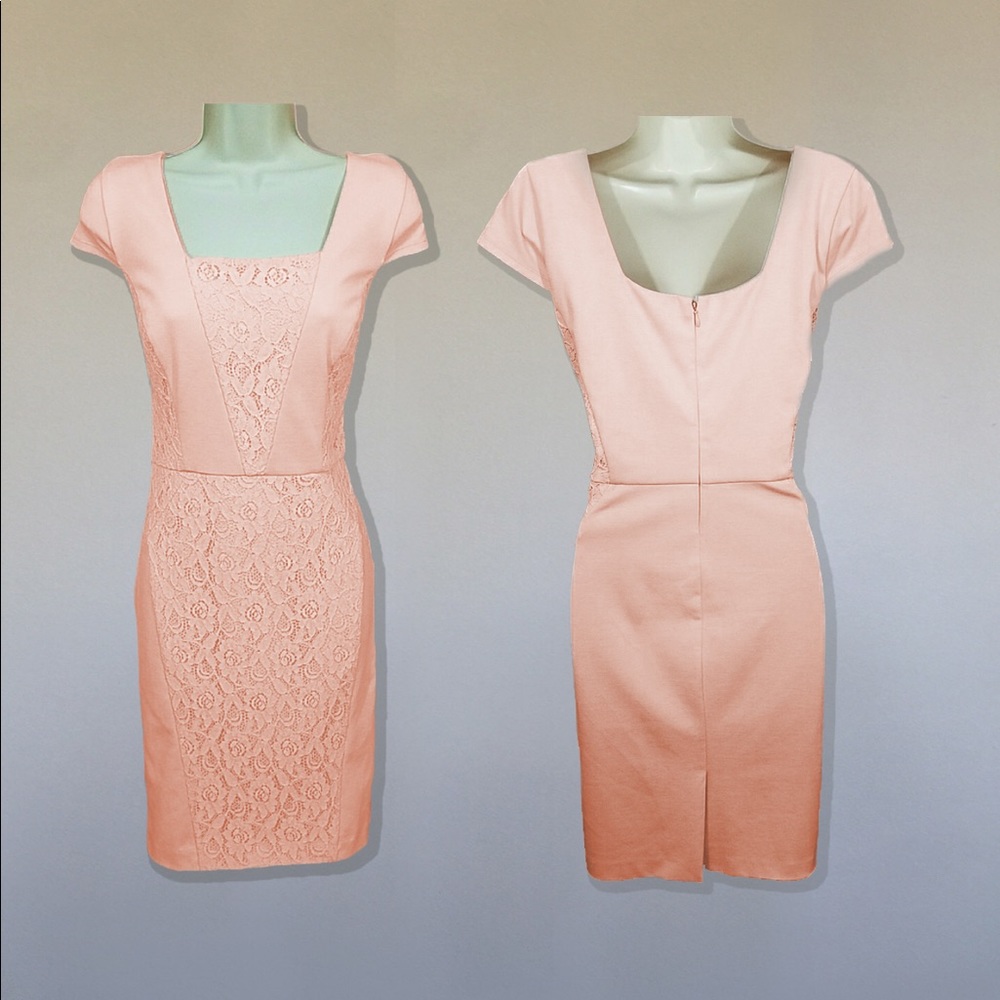 The Limited pink lace short sleeve dress sz M